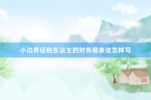 小边界征税东谈主的财务报表该怎样写